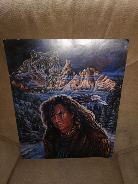 Indianer Poster Indianer mit Wolf